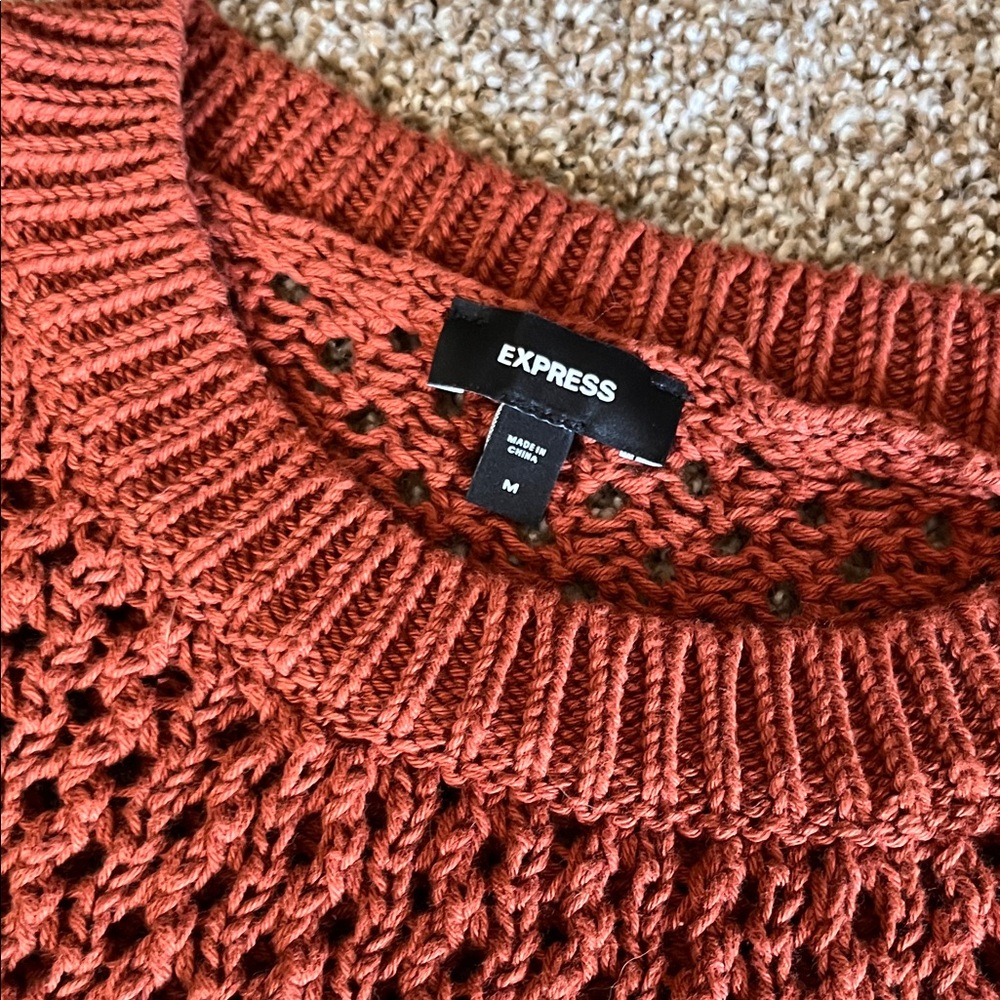 Express Rust Knit Sweater - Picture 3 of 6